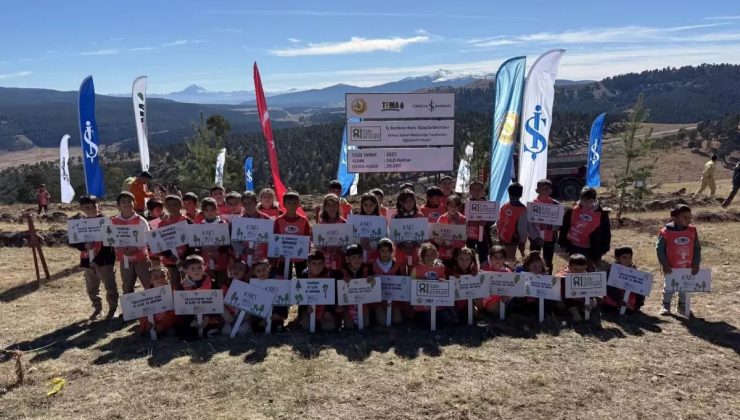 Yeşil Geleceğe Güçlü Adım: Kars’ta 20 Bin Fidan Toprakla Buluştu!