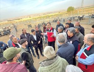 BATMAN’DA GÜVENLİ GIDA DENETİMİ: İl Müdürü Tuncer’den Hayvan Pazarı ve Kesimhaneye Sıkı İnceleme