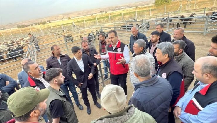 BATMAN’DA GÜVENLİ GIDA DENETİMİ: İl Müdürü Tuncer’den Hayvan Pazarı ve Kesimhaneye Sıkı İnceleme