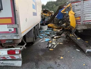 SON DAKİKA: AYDIN-MUĞLA KARAYOLU FELÇ OLDU! TIR Kazasında İki Sürücü Yaralı, Biri Ağır