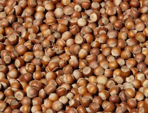 Fındık İhracatında Endişe Veren Düşüş: Piyasada Fiyat Artışı Kaçınılmaz mı?