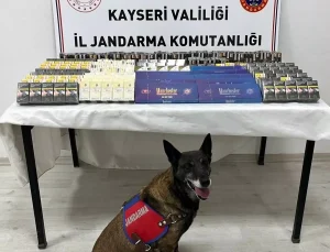 YASA DIŞI TİCARETE DARBE! Kayseri’de Jandarma Kontrolünde 500 Paket Kaçak Sigara Ele Geçirildi
