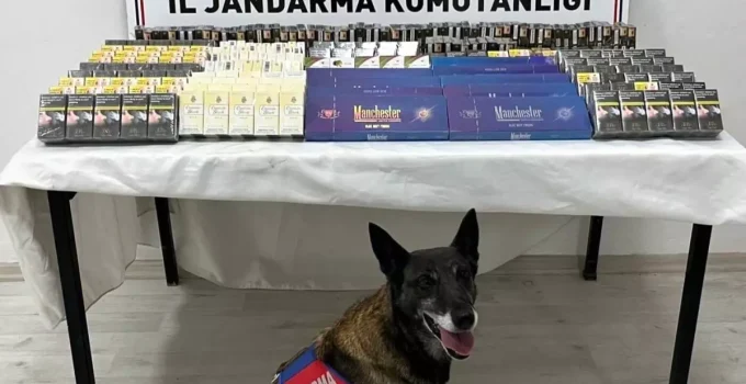 YASA DIŞI TİCARETE DARBE! Kayseri’de Jandarma Kontrolünde 500 Paket Kaçak Sigara Ele Geçirildi