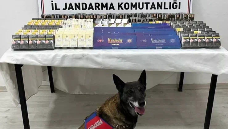 YASA DIŞI TİCARETE DARBE! Kayseri’de Jandarma Kontrolünde 500 Paket Kaçak Sigara Ele Geçirildi