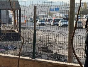 SON DAKİKA: Siirt Merkezde Korku Dolu Anlar! Taşlı, Sopalı ve Silahlı Kavga: 5 Yaralı, 3 Tutuklama