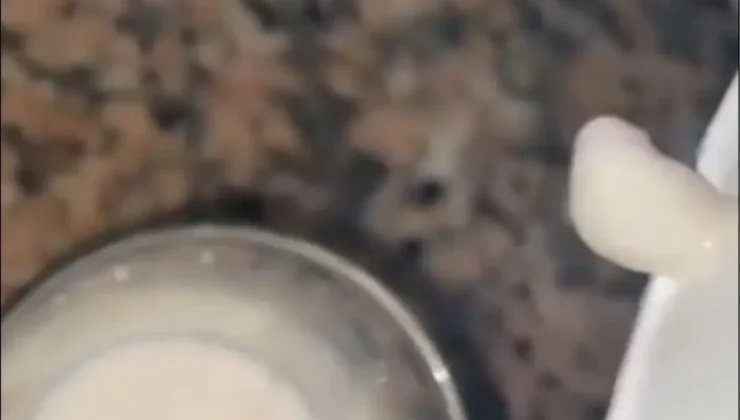 BİM’den Alınan Kefir Şoke Etti: “Ben Bunu Çocuğuma Yedirecektim!”